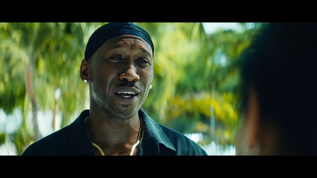 Moonlight - Exclusive Interview With Trevante Rhodes, Andre Holland, Mahershala Ali & Naomie Harris