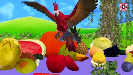 Aprende los Nombres de las Frutas y Verduras con Rompecabezas de Juguete | el Aprendizaje de los Niños Frutas y Verduras