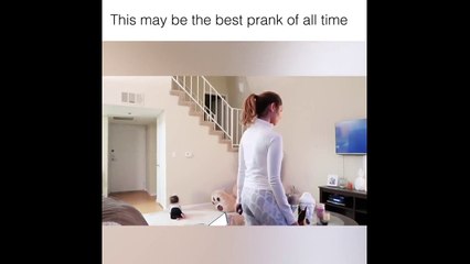 Rus bakıcı canlanan oyuncak ayı karşısında kendinden geçti!