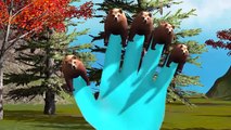 Top 10 Bear Finger Family Rhymes For Children 3D Animated Rhymes | Bear Nursery Rhymes