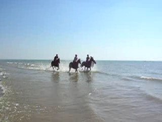 galop sur la plage