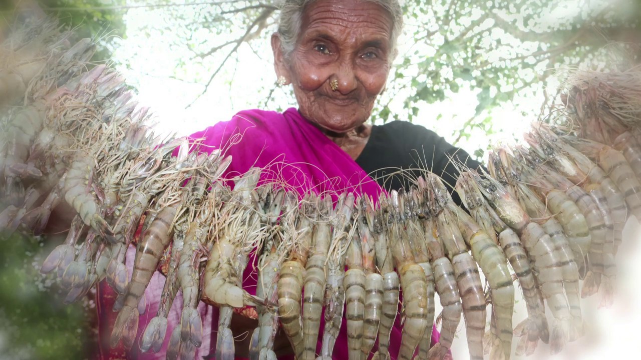 Yummy Chicken Drumstick Recipe  Tasty Chicken Drumsticks By My Grandma's