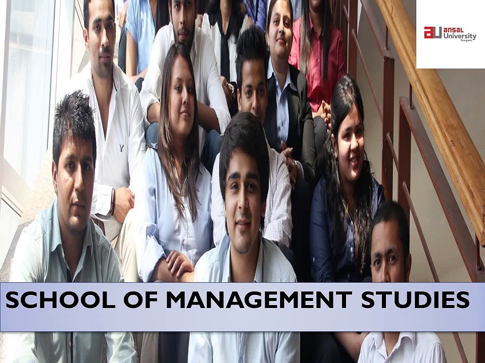Ace Your profile with Custom Developed Ansal University MBA Program