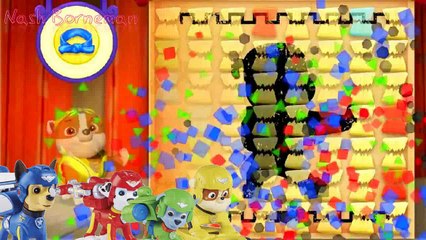 Paw Patrol Pup.  Kung Fu Color Match and paw patrol toys