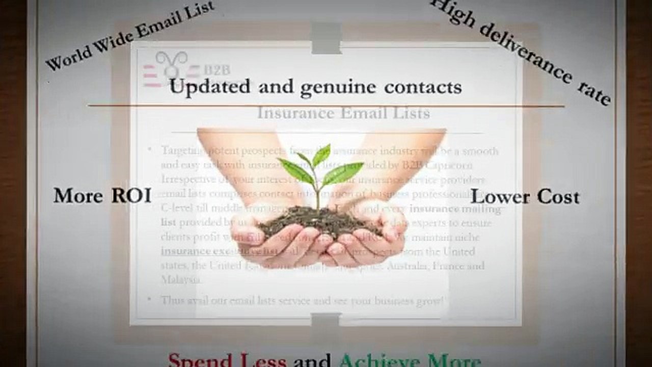 Insurance Email List - B2B Capricorn