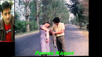 127. MehnazA.Nayyer - Pyar Bada Yeh Jeewan Hum - Aik Dujhe Ke Liye - AyazBabra Sharif_1ーHD岩倉市ハラルーフド0587660081