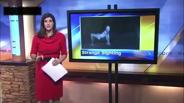 ( NEW )CRIATURAS ASSUSTADORAS Flagradas pelas Câmeras Listopédia Sobrenatural