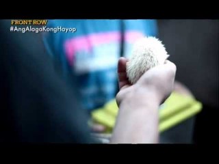 'Glenn' brings us to the exotic animal black market | Front Row