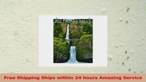 Multnomah Falls Oregon  Summer View 16x24 Giclee Gallery Print Wall Decor Travel Poster e09d5b2e