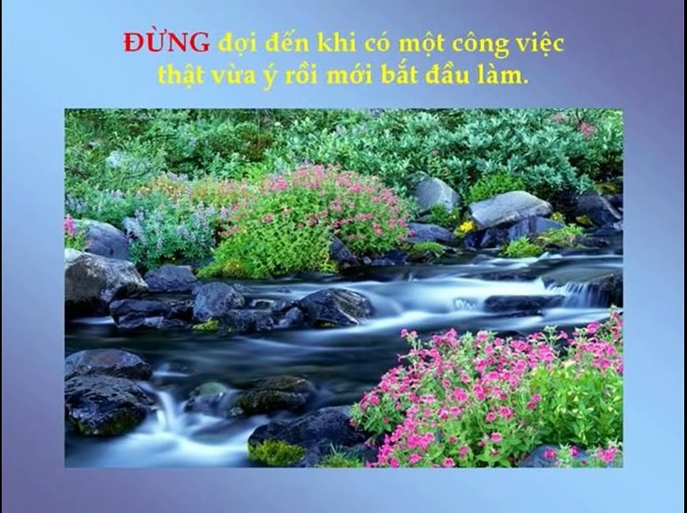 Châm ngôn cuộc sống: Đừng