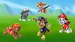 Paw Patrol Superman Collection Finger Family - Daddy Finger Family Nursery Rhymes Lyrics F