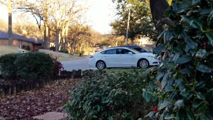 Un chauffard fait du Drift dans un quartier résidentiel