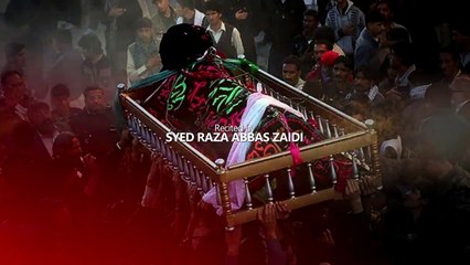 Mujhy Rony Do Amma | Noha 2016-17 | Syed Raza Abbas Zaidi