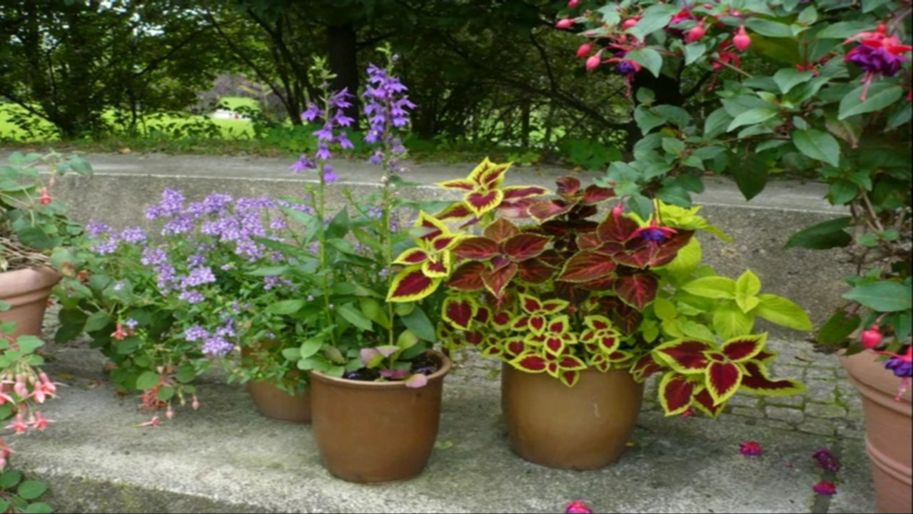 Marzahner Vorgärten (Teil 2)