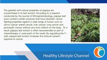 Papaya Leaves : Health Benefits of Papaya Leaf Juice