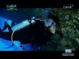 Born to be Wild: Doc Ferds Recio goes scuba diving in Palau's underwater caves