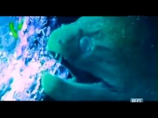 Born to be Wild: Doc Ferdz Recio meets moray eel hunters in Panglao, Bohol