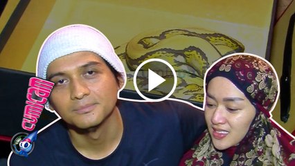 Lucky Hakim Beri Kado Ular untuk Istri - Cumicam 17 Februari 2017