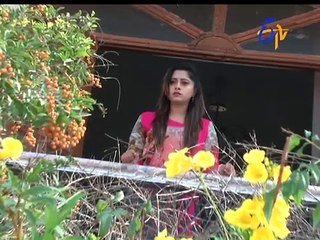 Gokulamlo Seeta _ 17th February 2017  _ Latest Promo-xaLlpiuRQvc