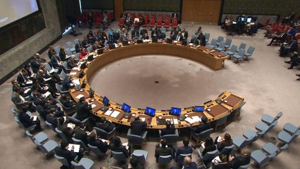 UN: Two-state solution crucial for peace in Israel and Palestine