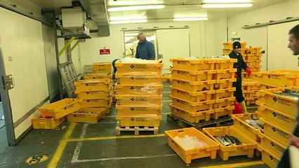 Les pêcheurs des Shetland pour le Brexit