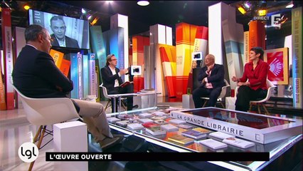 Sophie Divry nous parle de son livre «Rouvrir le roman»