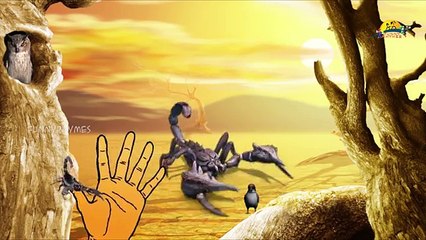 Scorpion Finger Family Nursery english 3d rhymes | Children Animated finger family song
