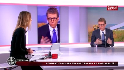 Comment concilier grands travaux et biodiversité ?