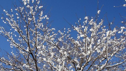 【人生相談】　証拠無き不倫疑惑でドロドロ