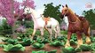 Horse For Kids || Animal Horse Learning Sounds || Cartoon Kids Rhymes