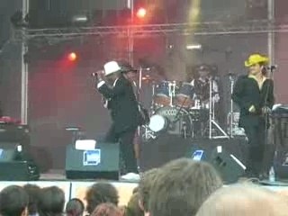 Jacques Daoud Revue: Insights & Highlights