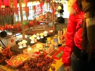 Tân Hồng Thái Du Xuân 2010