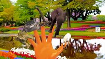 Finger Family 3D Nursery Rhymes Collection | Wild Animals Cartoons For Kids Children Learn Videos