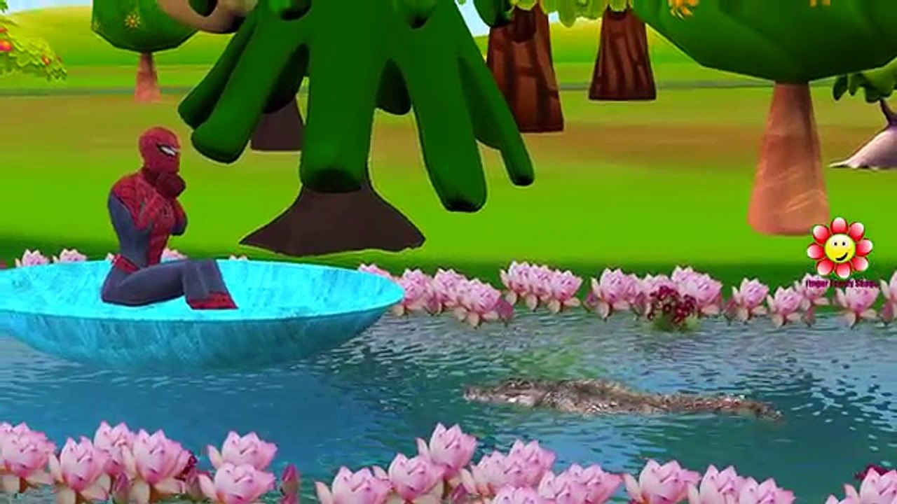 Spiderman Dedo de la Familia de la Canción de Spiderman dibujos animados de canciones infantiles Para los niños