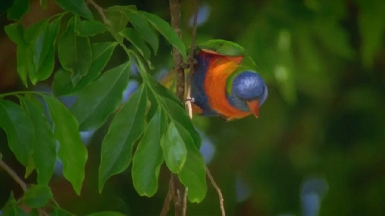 World's Best Beaches S01E05