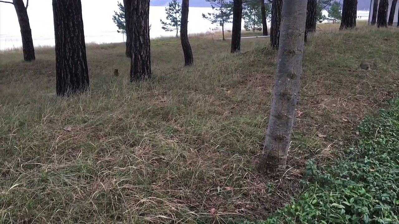 The Spirit of Rügen - Januar 2016 /Full Film/Complete Movie/Ganzer Film