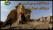 Hazrat Owais Qarni Islamic Movie in Urdu Part-01