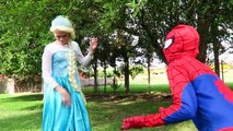 Spiderman & Frozen Elsa Fall in Love! Wedding Marriage Proposal Disaster   Funny Joker Pra