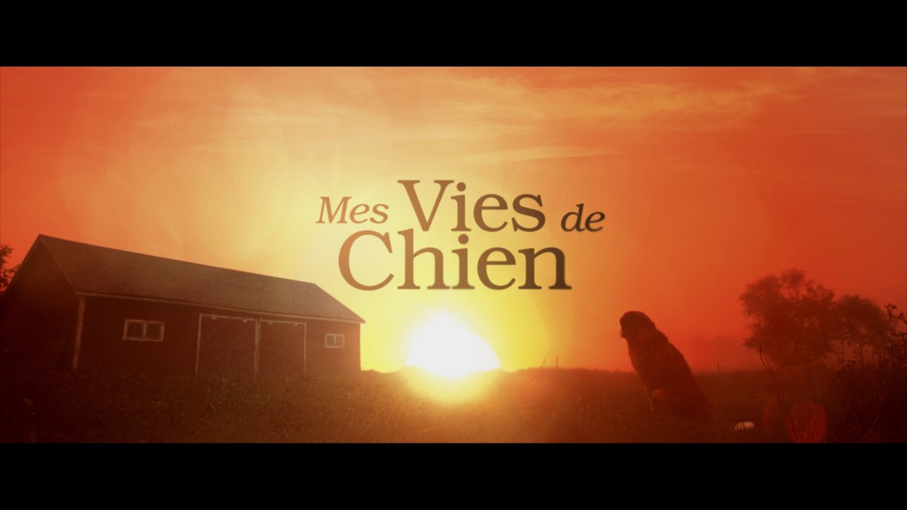 MES VIES DE CHIEN - Bande annonce - VF