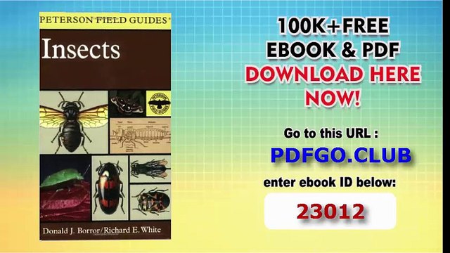 America North of Mexico