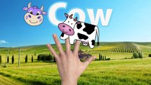 Finger Family Nursery Rhymes for Children Cow Cartoons | Finger Family Children Nursery Rh