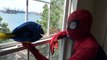 Spiderman and Dory / SuperHeroes in New York / New Episode SuperHeroes in Real Life