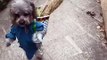 İki Ayak Üstünde Yürüyen Çinli Köpek