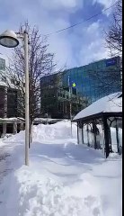 Ngritja e Flamurit të Kosovës në Kanada