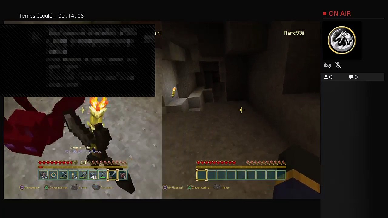 Minecraft (5)