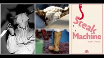 Abattoirs : souffrance animale et souffrance des travailleurs