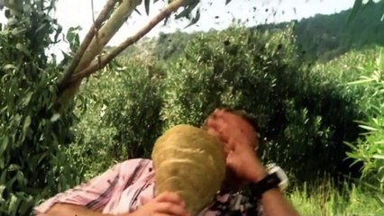 5 respostas curiosas sobre a vida !