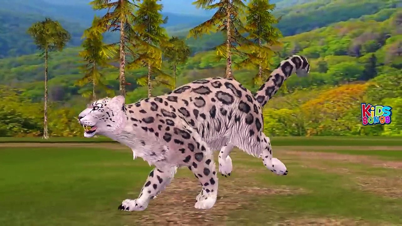 Aprender Los Sonidos De Los Animales Salvajes Y Los Nombres Para Niños | Tigre Elefante León Rimas Infantiles Para Niño