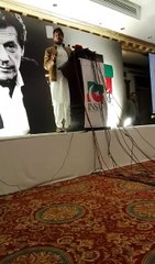 Imran Khan's Complete Speech at Insaf Professionals Forum Islamabad 17.02.2017