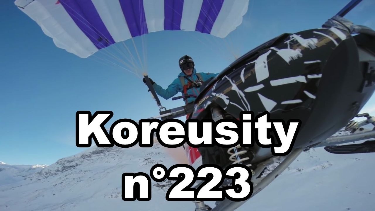 Koreusity n°223